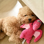 Fluffy PP Fiber Pterodactyl with Squeaky Wings Dog Toy - GreenFur