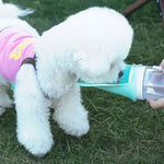 Foldable and Portable Pet Travel Cup for Outdoor Use - GreenFur