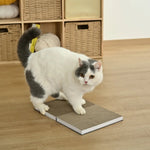 Foldable Book - Style Thick Durable Cat Scratcher - GreenFur