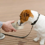 Foldable Dog Water Bottle Travel Lovely Outdoor Pet Dispenser - GreenFur