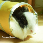 Foldable Lightweight Small Pet Tunnel Toy - GreenFur