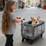 Foldable Reflective Strips and Pull Handle Pet Carrier Bag - GreenFur