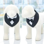 Formal Suit with Bow Tie Dog Collar - GreenFur