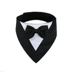 Formal Suit with Bow Tie Dog Collar - GreenFur