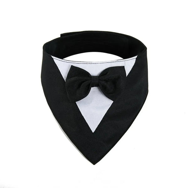 Formal Suit with Bow Tie Dog Collar - GreenFur