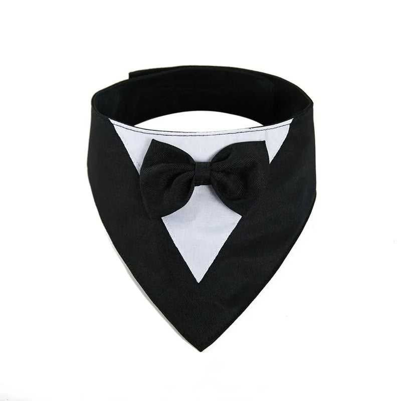 Formal Suit with Bow Tie Dog Collar - GreenFur