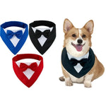 Formal Suit with Bow Tie Dog Collar - GreenFur