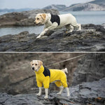 Four Legged Fully Wrapped Windproof Waterproof Dog Clothing - GreenFur