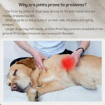 Front Leg Surgery Elbow Protective Dog Recovery Suit - GreenFur