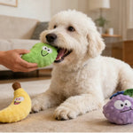 Fruit Topic Dog Plush Toy Bundle Play Gift Set - GreenFur