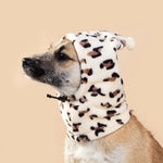 Fun Leopard Print Pet Hat with Pom - Pom for Dogs - GreenFur