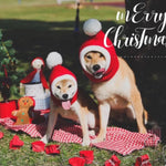 Funny Pompon Crocheted Cap Winter Dog Hat Knit Headwear, Red - GreenFur