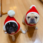 Funny Pompon Crocheted Cap Winter Dog Hat Knit Headwear, Red - GreenFur