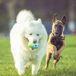 Funny Rolling Dog Toy Treat Dispenser Safe Material Dog Food Puzzle Toys - GreenFur