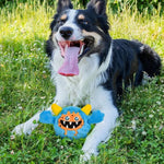 Funny Squeaky Bouncing Dog Toy with Built - in Elastic Ball - GreenFur