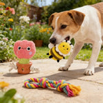 Garden Topic Dog Plush Rope Toy Bundle Play Gift Set - GreenFur