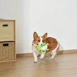 Green Turtle Style Tug - of - War Squeaky Plush Dog Toy with Rope - GreenFur