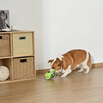 Green Turtle Style Tug - of - War Squeaky Plush Dog Toy with Rope - GreenFur