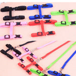 H - Style Kitten Walking Strap Adjustable Nylon Cat Harness and Leash Set - GreenFur