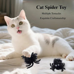 Halloween Cat Toy Plush Spider Interactive Pet Play Accessory - GreenFur
