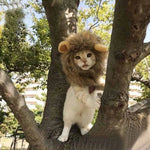 Halloween Lion Costume Adjustable Velcro Hat For Cats And Dogs - GreenFur