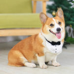 Handcrafted Crochet Pet Bib Faux Bowtie Design for Cats and Small Dogs - GreenFur