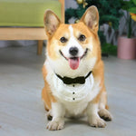 Handcrafted Crochet Pet Bib Faux Bowtie Design for Cats and Small Dogs - GreenFur