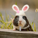 Handmade Crochet Hat Cute Animal Costume for Small Animals - GreenFur