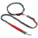 Hands Free Adjustable Dog Leash Belt for Outdoor Use - GreenFur