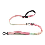 Hands Free Explosion - proof Gradient Color Bungee Pet Leash - GreenFur