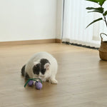 Hangable Rustling Grape Style Cotton Rope Cat Chasing Toy - GreenFur