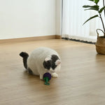 Hangable Rustling Mangosteen Style Cotton Rope Cat Chasing Toy - GreenFur