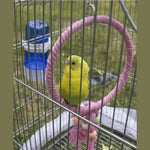 Hanging Bird Ring Perch Toy with Tassels Parrot Cotton Rope Swing - GreenFur