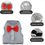 Harness Leash Set with Bow for Rabbit Guinea Pigs Hamster Ferret, Grey - GreenFur