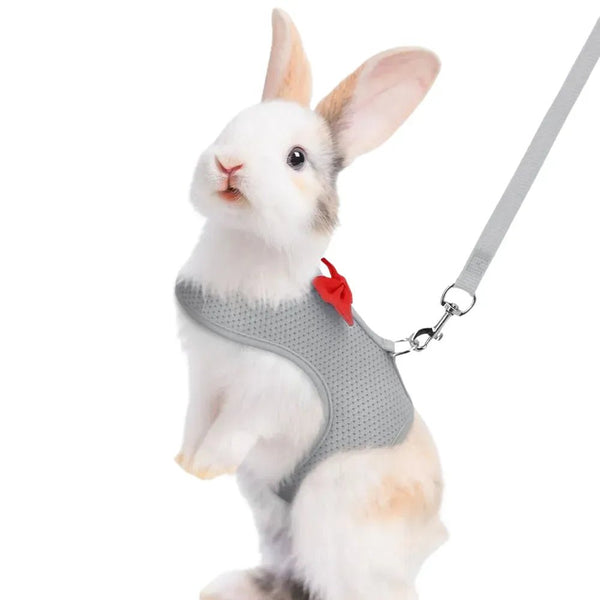 Harness Leash Set with Bow for Rabbit Guinea Pigs Hamster Ferret, Grey - GreenFur