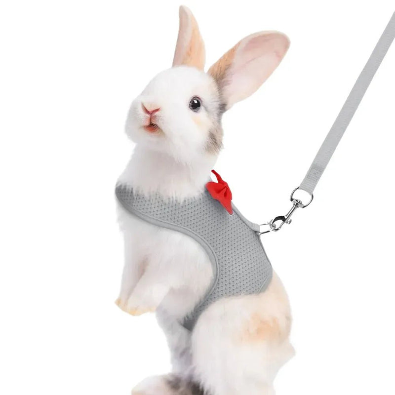Harness Leash Set with Bow for Rabbit Guinea Pigs Hamster Ferret, Grey - GreenFur