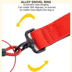 Heavy - Duty Anti - Sudden Pull Dog Leash for Dogs Anti - Escape P - Chain - GreenFur