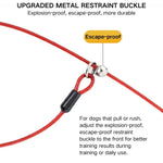 Heavy - Duty Anti - Sudden Pull Dog Leash for Dogs Anti - Escape P - Chain - GreenFur