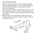 Heavy - Duty Anti - Sudden Pull Dog Leash for Dogs Anti - Escape P - Chain - GreenFur