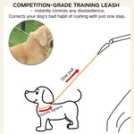 Heavy - Duty Anti - Sudden Pull Dog Leash for Dogs Anti - Escape P - Chain - GreenFur