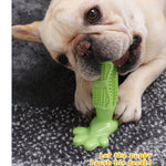 High - Density Side Bumps Paw Base Dog Toothbrush Chew Toy - GreenFur