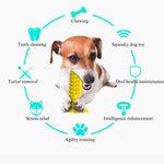 High - Density Side Bumps Paw Base Dog Toothbrush Chew Toy - GreenFur