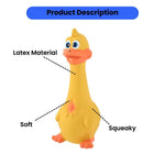 Hilarious Squeaky Pet Latex Toys Standing Chicken and Big Mouth Duck - GreenFur