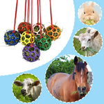 Horse Treat Ball TPR Feeder for Stables Hanging Hay Feeding Toy - GreenFur