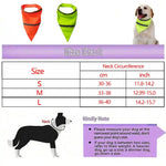 Hot Sale Orange Reflective Safety Bandana For Dogs - GreenFur