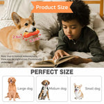 Hotdog Shaped Squeaky Dog Chew Toy - GreenFur