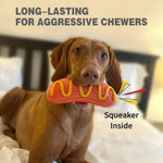 Hotdog Shaped Squeaky Dog Chew Toy - GreenFur