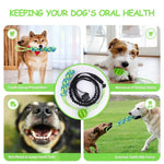 Indoor Outdoor Use Interactive Pet Toy Tug of War Dog Bungee Tug Toys - GreenFur