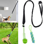 Indoor Outdoor Use Interactive Pet Toy Tug of War Dog Bungee Tug Toys - GreenFur