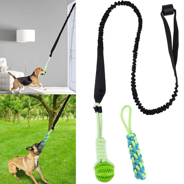 Indoor Outdoor Use Interactive Pet Toy Tug of War Dog Bungee Tug Toys - GreenFur